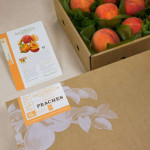 Fruit-of-the-Month Club System/Peaches