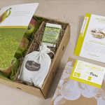 Fruit and Cheese Box